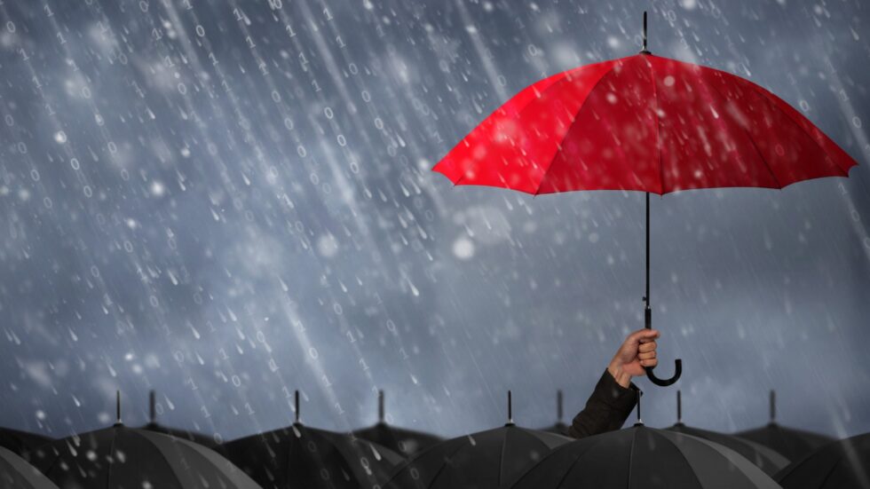 Taking care of the big and little things – Insurance and protection guide for 2023